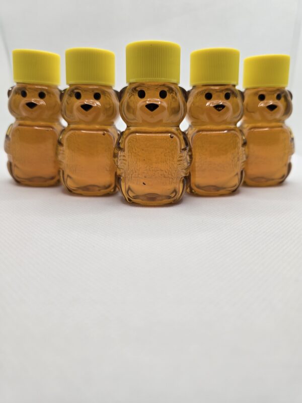 East Coast Honey in Bear size bottles 2 oz.